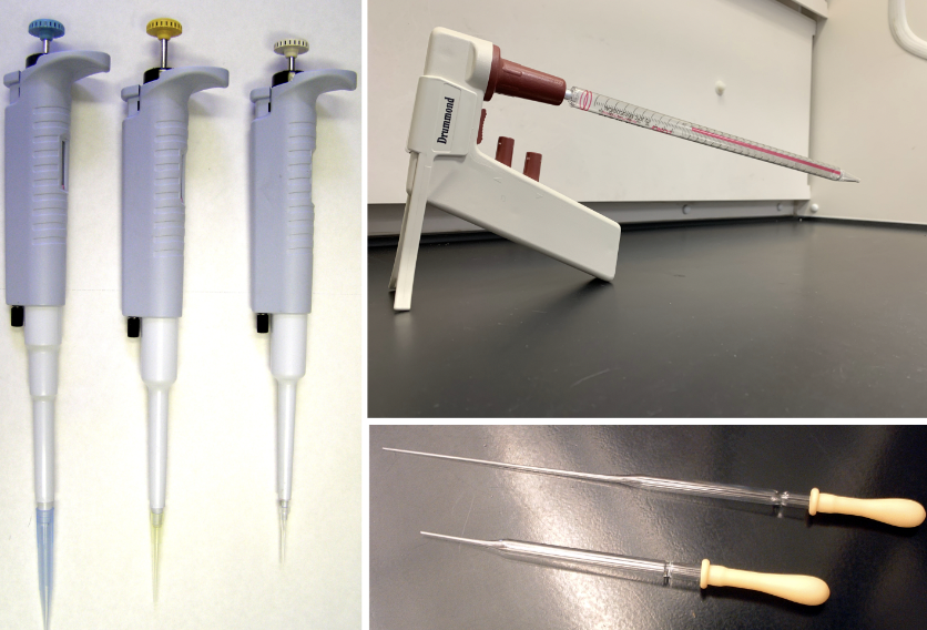 pipette used in laboratory - Drummand