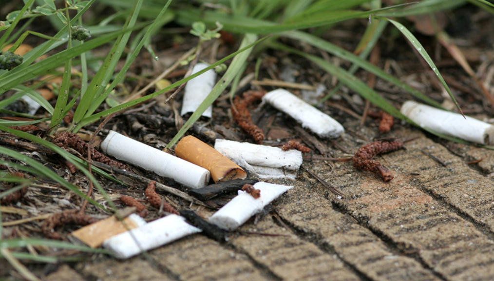 cigarette butts