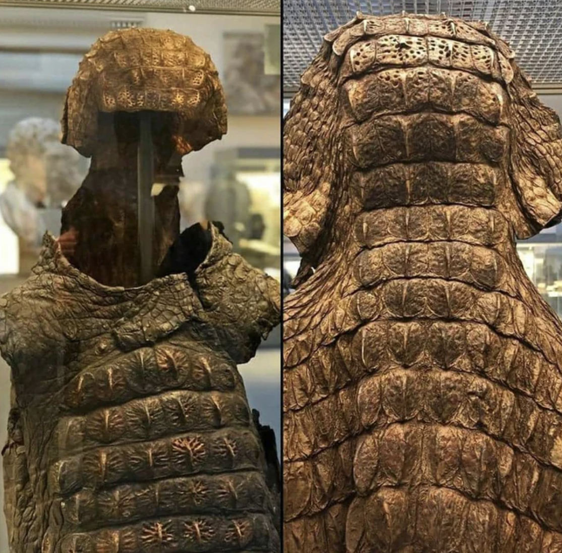 Crocodile skin armor from the Roman era, likely used in parades, found in Egypt in the 19th century.