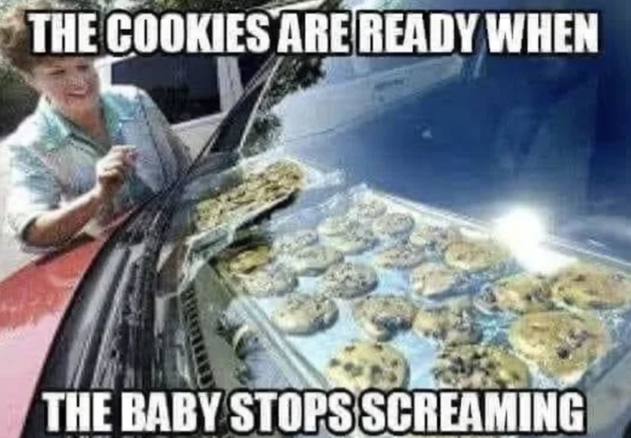 baking cookies in car meme - The Cookies Are Ready When The Baby Stops Screaming