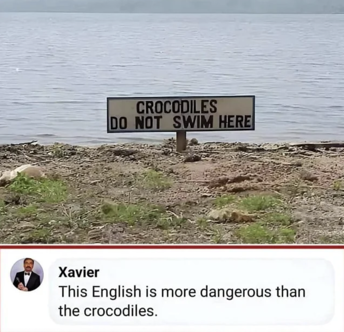 crocodiles don t swim here - Crocodiles Do Not Swim Here Xavier This English is more dangerous than the crocodiles.