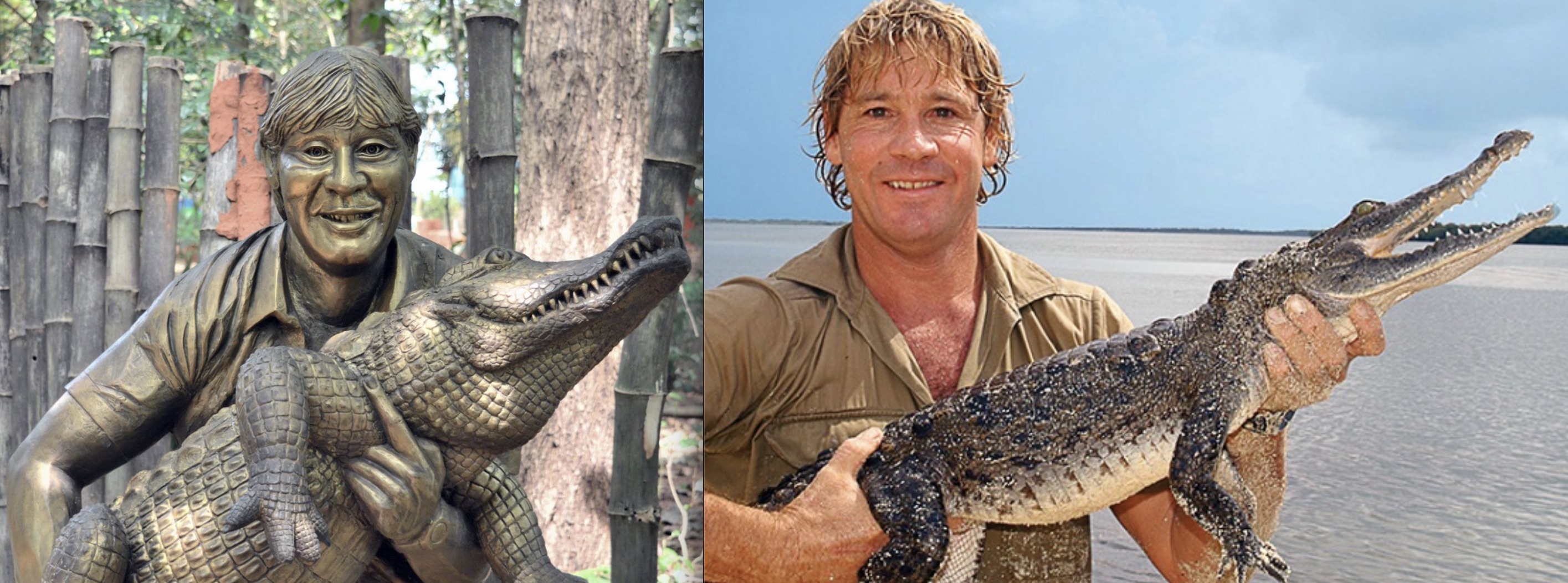 steve irwin