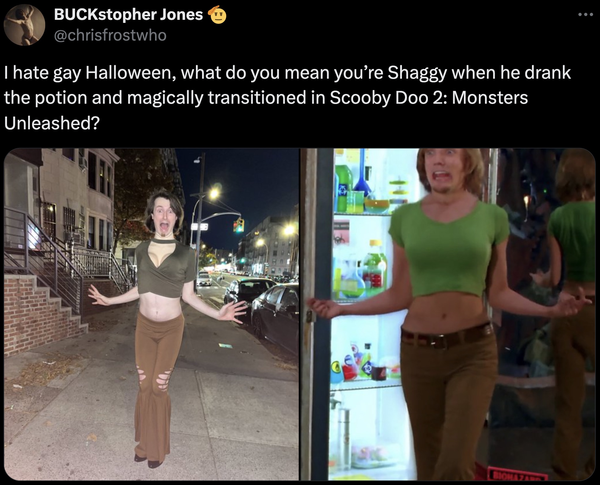 B BUCKstopher Jones I hate gay Halloween, what do you mean you're Shaggy when he drank the potion and magically transitioned in Scooby Doo 2 Monsters Unleashed?