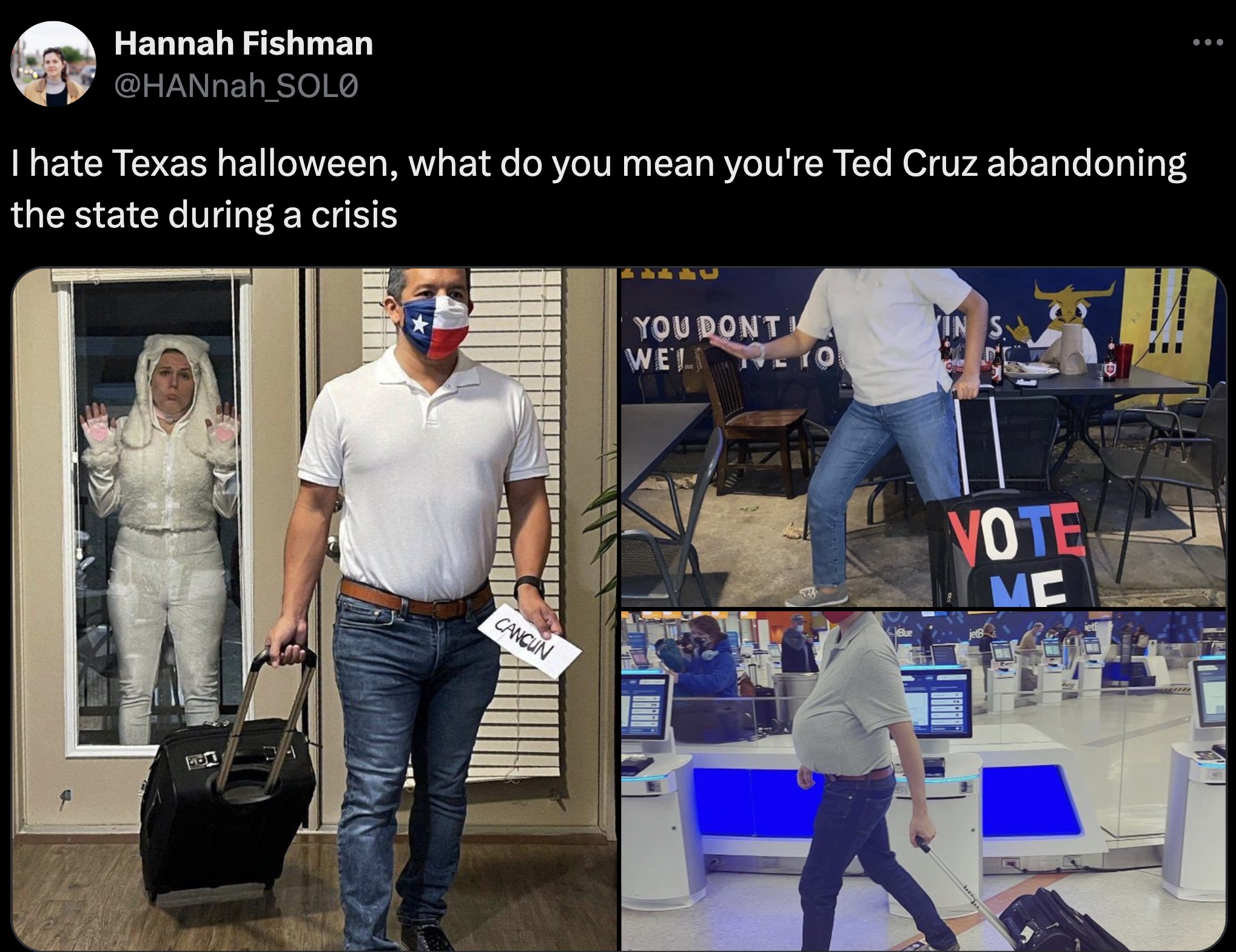 birkin bag - Hannah Fishman I hate Texas halloween, what do you mean you're Ted Cruz abandoning the state during a crisis Cancun You Dont Welo Vote Me