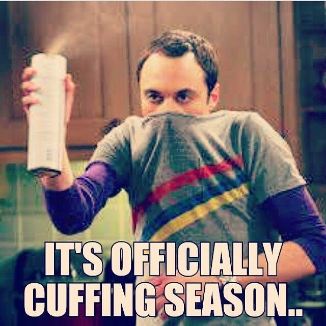 love is in the air meme - It'S Officially Cuffing Season..