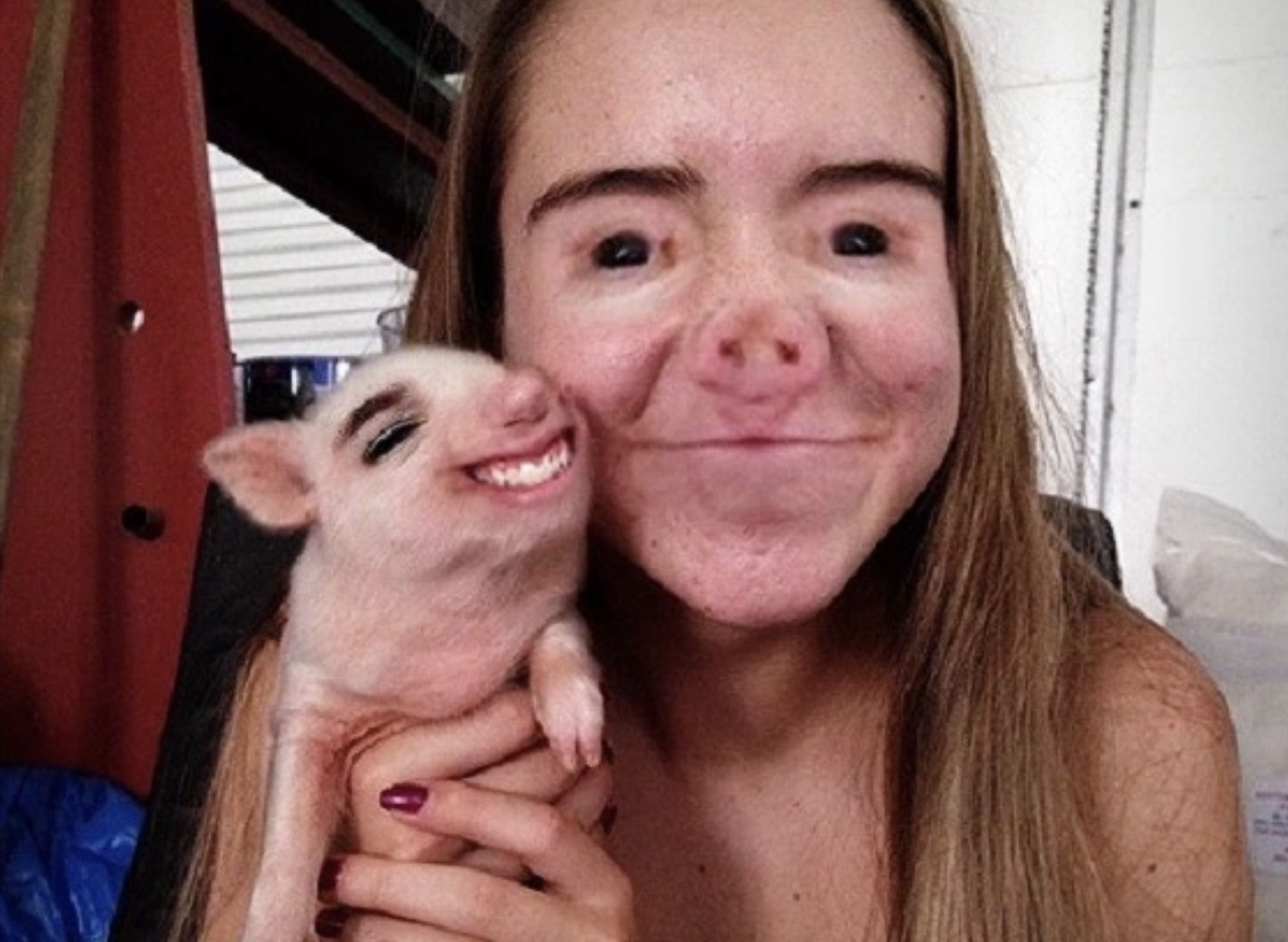 pig face girl