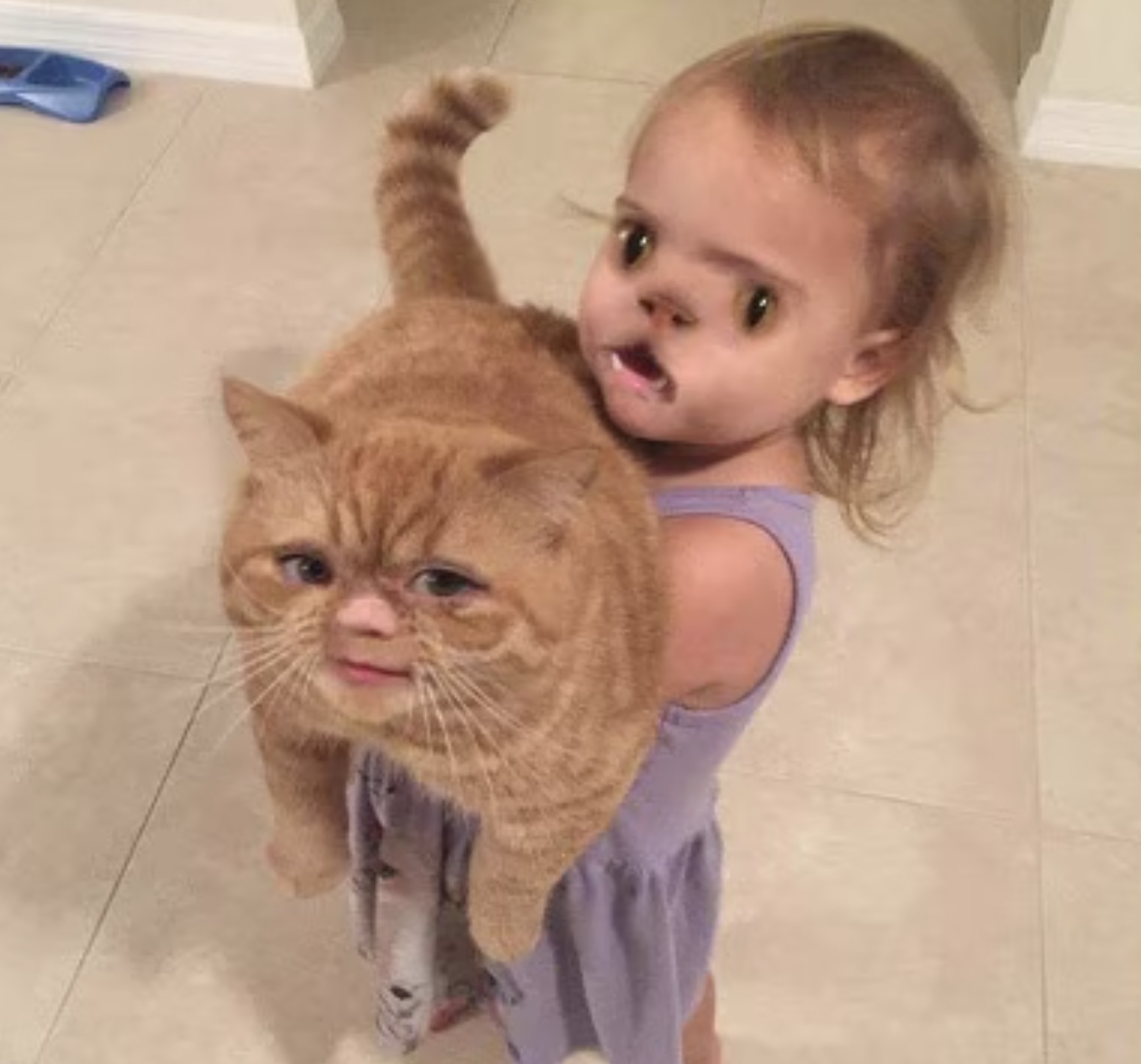 funny face swap