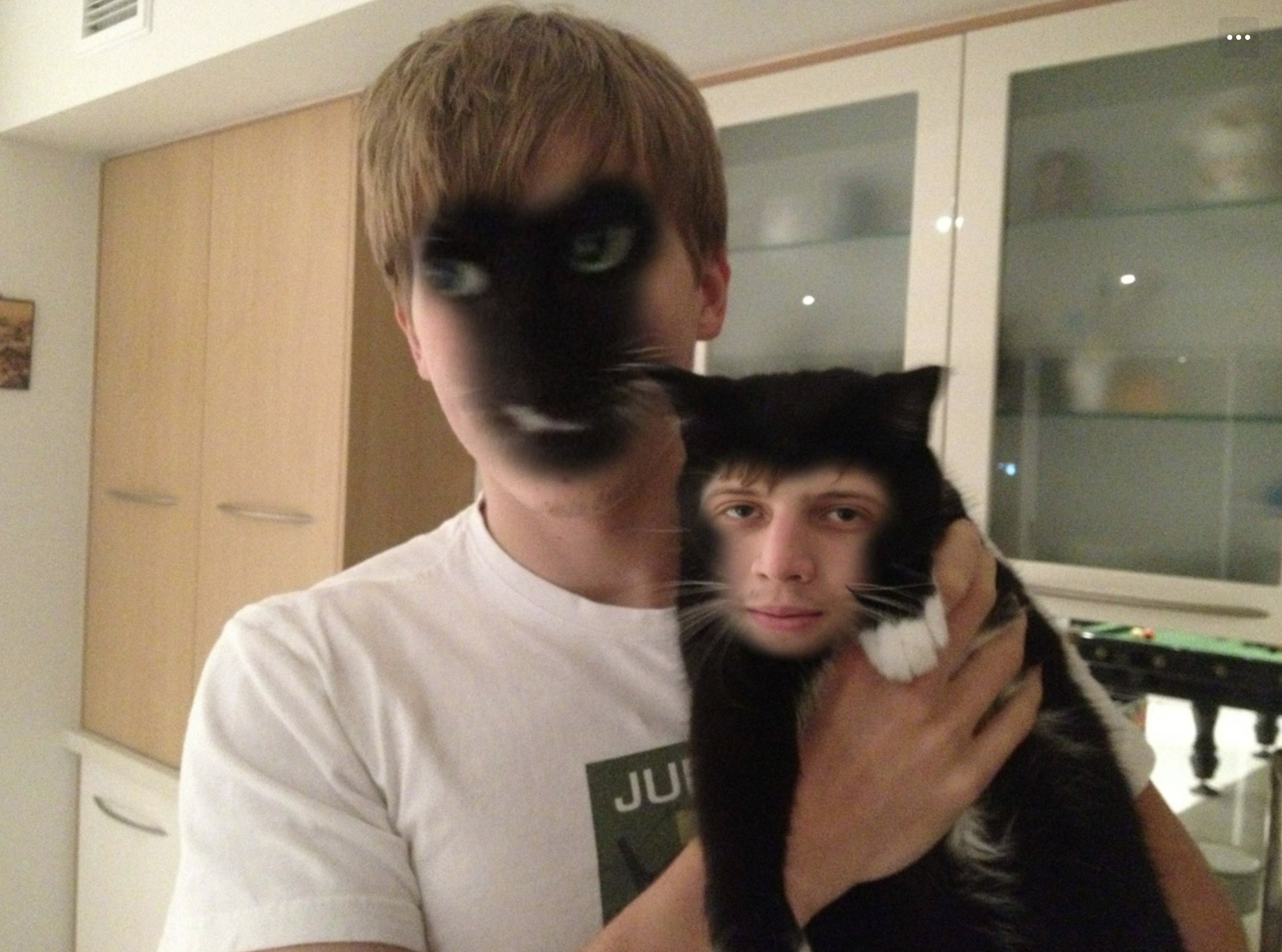 cat - Ju