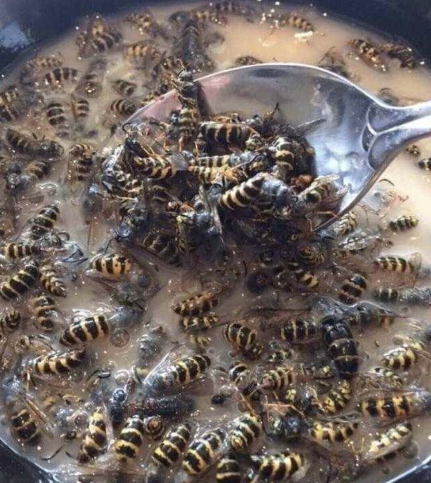 cursed cereal bowl