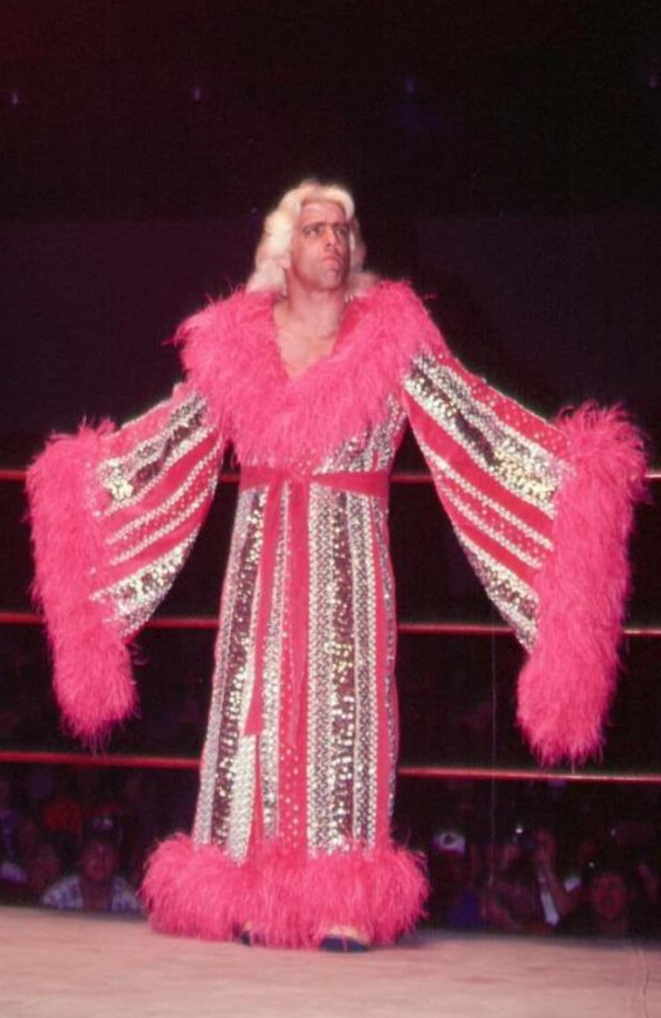Wwe Old Ropes Off-the-Top-Rope Photos of Pro Wrestling’s '80s Heyday | eBaum's World