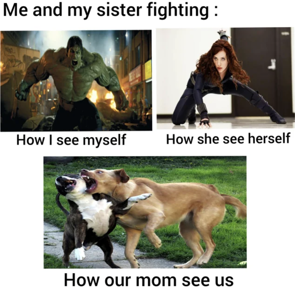 renascence bulldogge - Me and my sister fighting How I see myself How she see herself How our mom see us