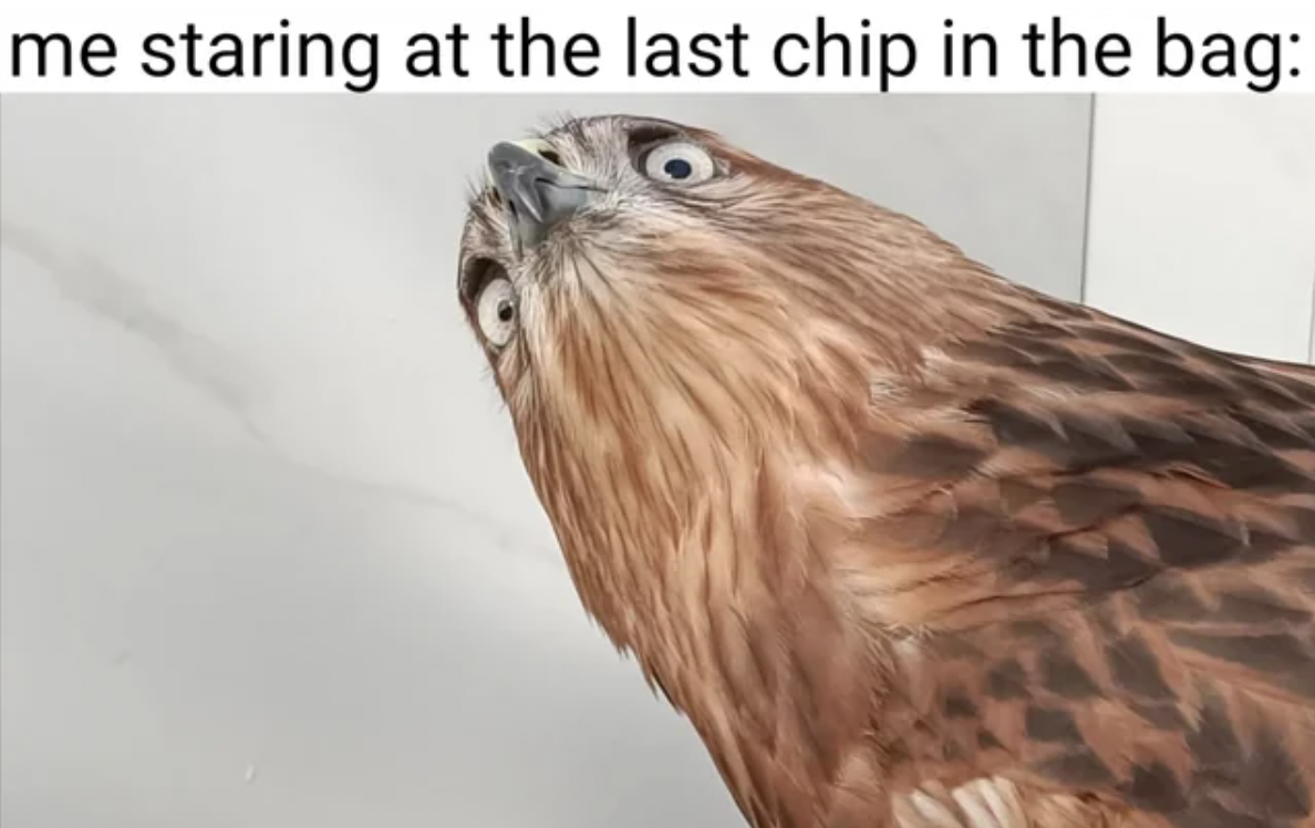 Eagle - me staring at the last chip in the bag