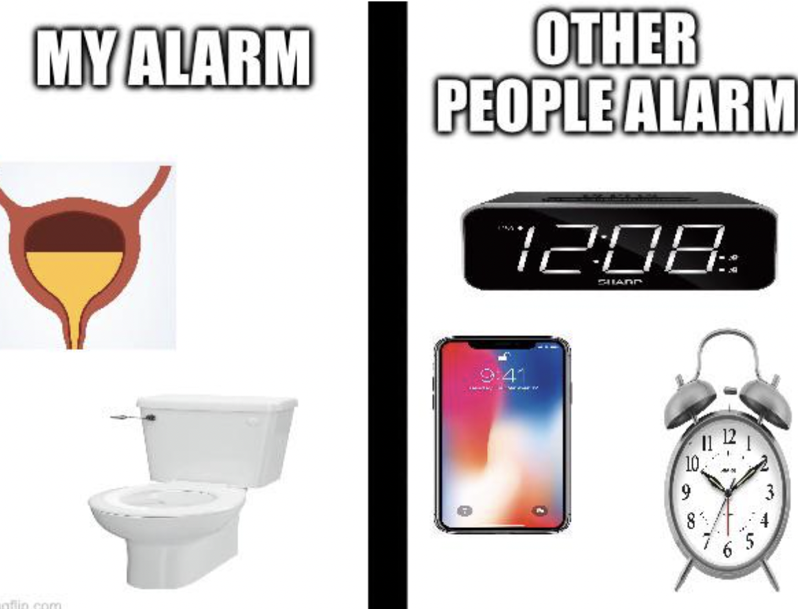 happy international cat day meme - My Alarm Other People Alarm Shans 2 9 9 0 6 5 3