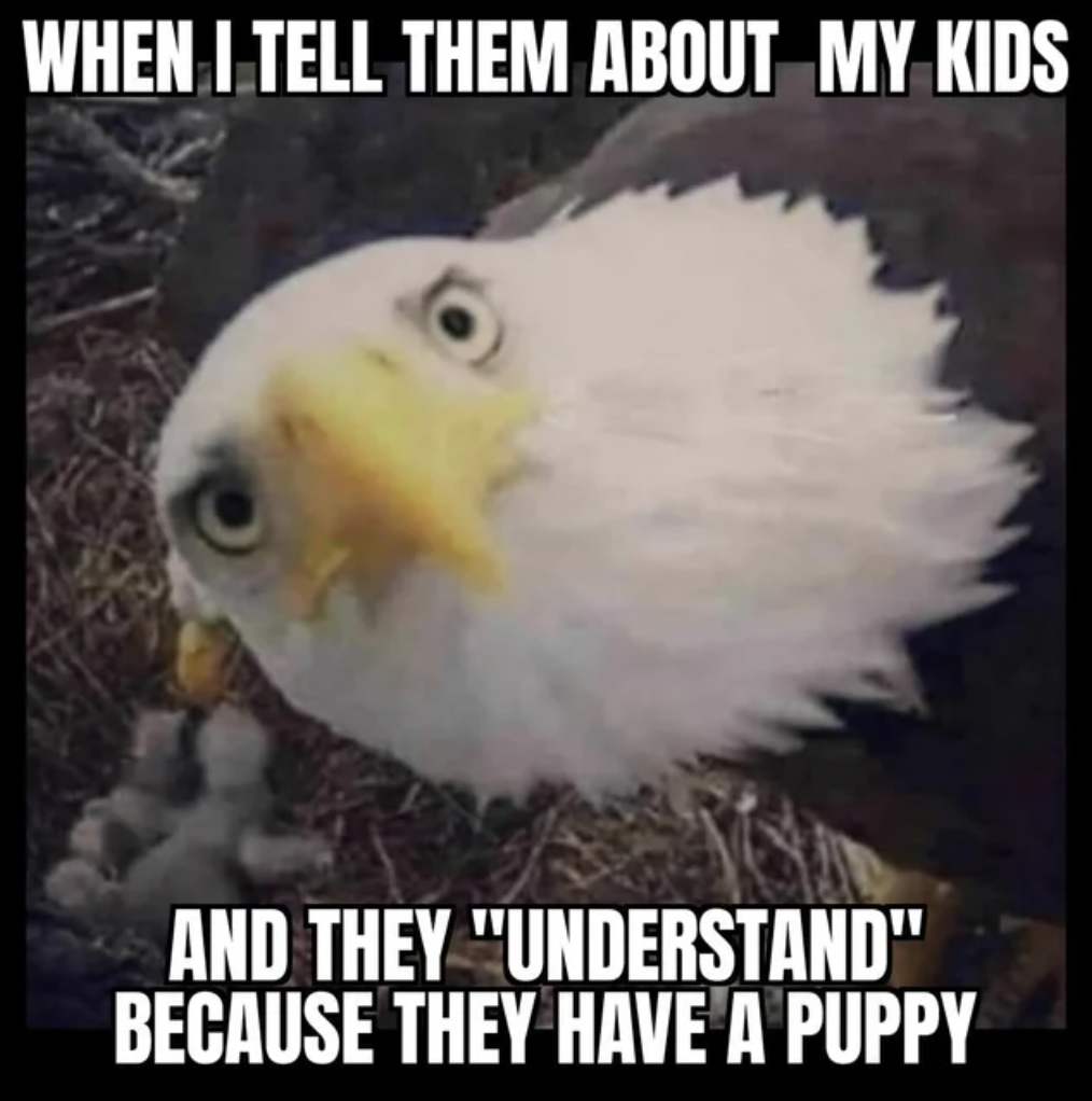 doing it that way wont work - When I Tell Them About My Kids And They "Understand" Because They Have A Puppy