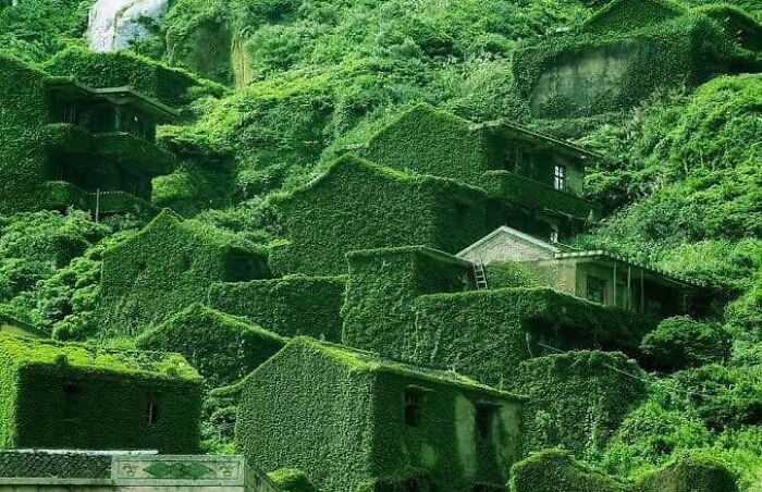 Nature has totally reclaimed this abandoned villaged.