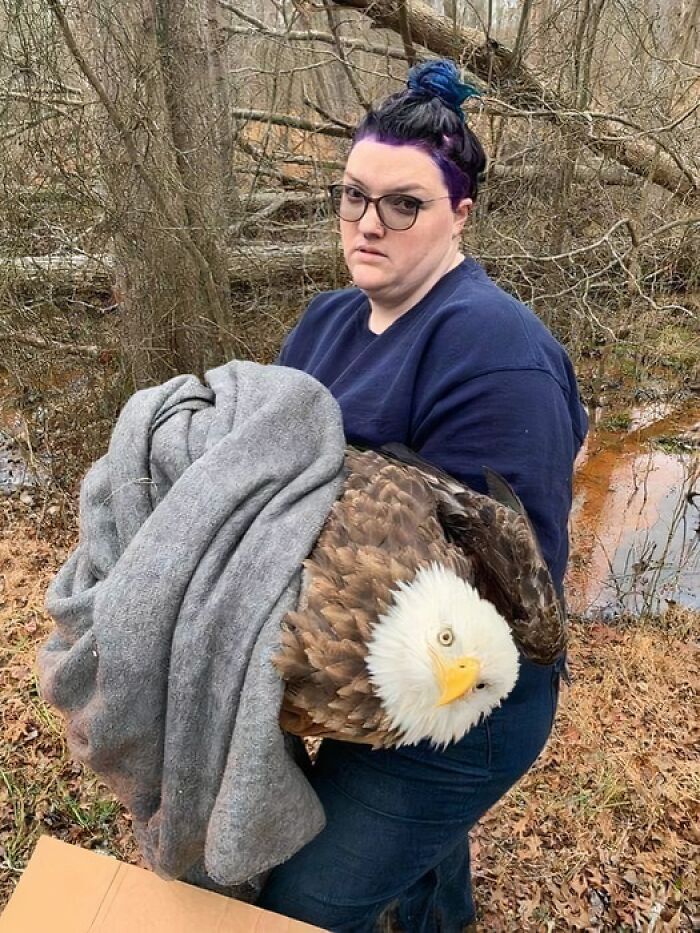 This woman works with an animal rescue service and got a call about a Bald Eagle while in the middle of dyeing her hair.