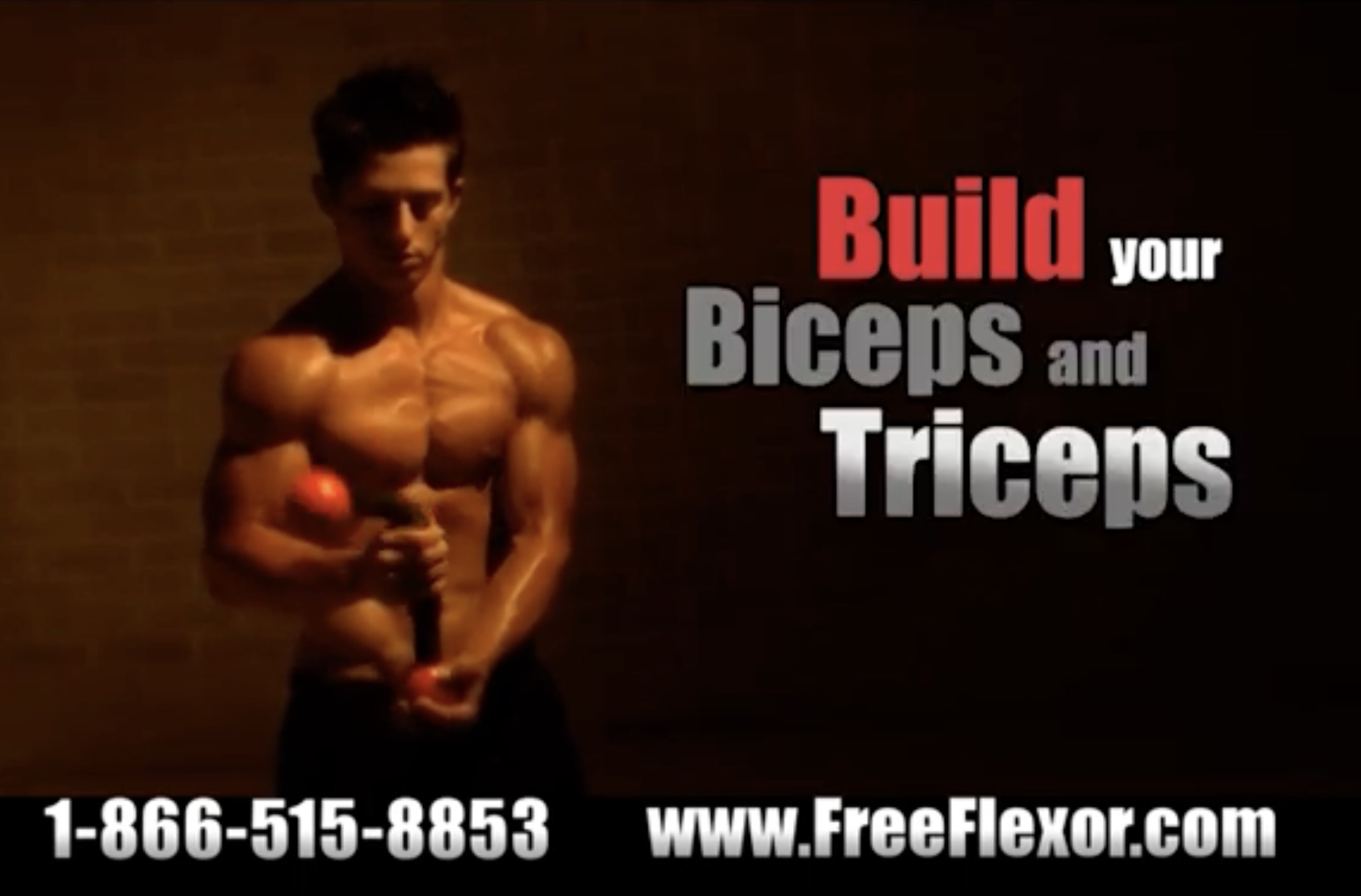 bodybuilding - Build your Biceps and Triceps 18665158853