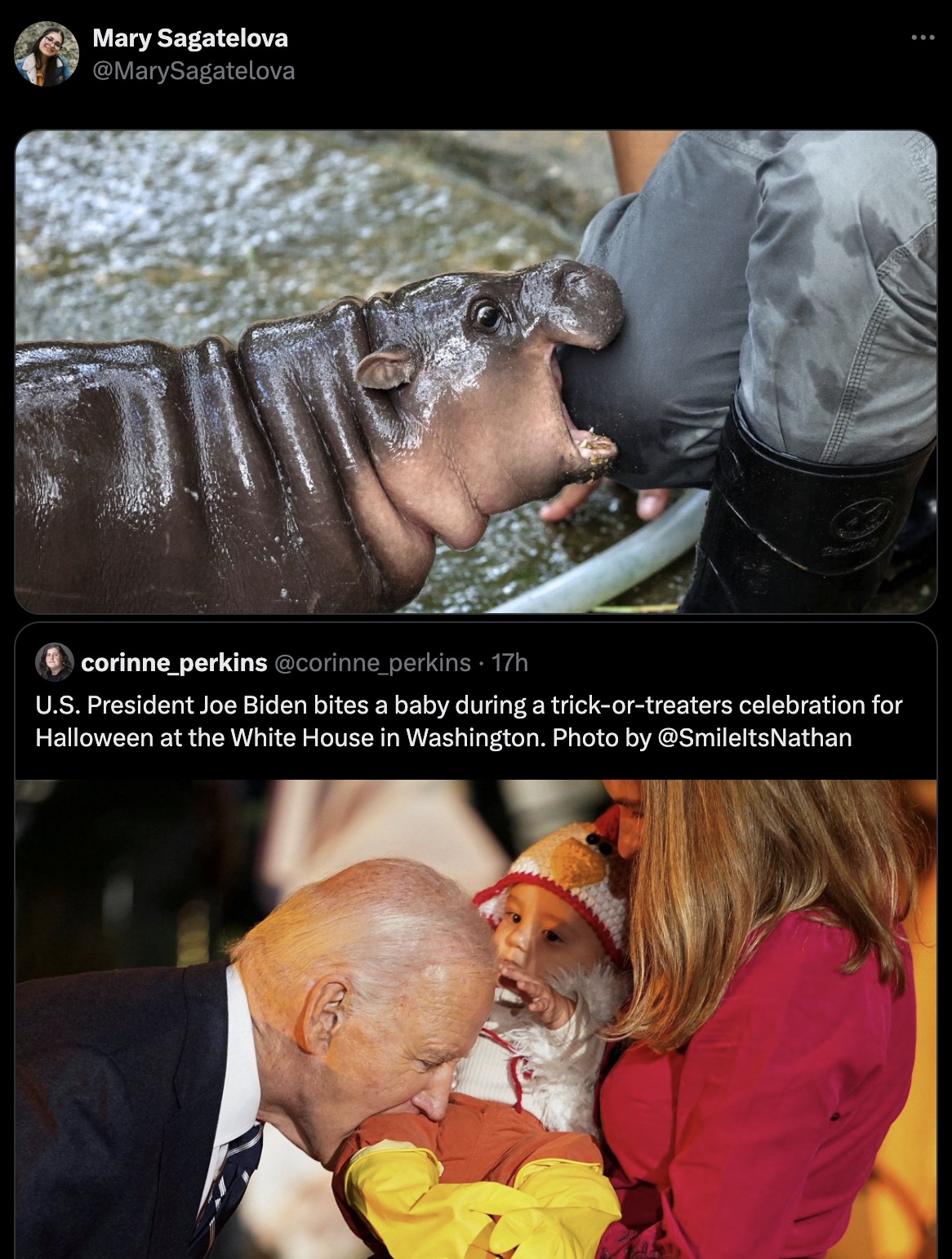 moo deng hippo - Mary Sagatelova MarySagatelova corinne perkins perkins 17h U.S. President Joe Biden bites a baby during a trickortreaters celebration for Halloween at the White House in Washington. Photo by Nathan