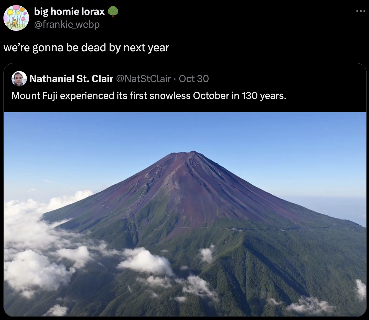 Mount Fuji - big homie lorax we're gonna be dead by next year O Nathaniel St. Clair Oct 30 Mount Fuji experienced its first snowless October in 130 years. ...