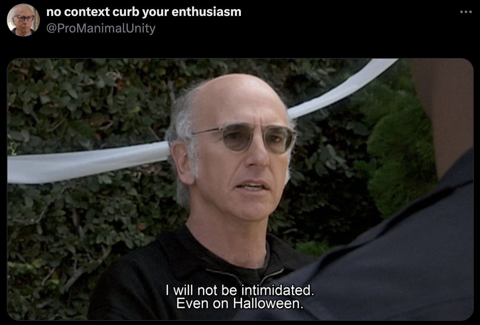 photo caption - no context curb your enthusiasm I will not be intimidated. Even on Halloween.