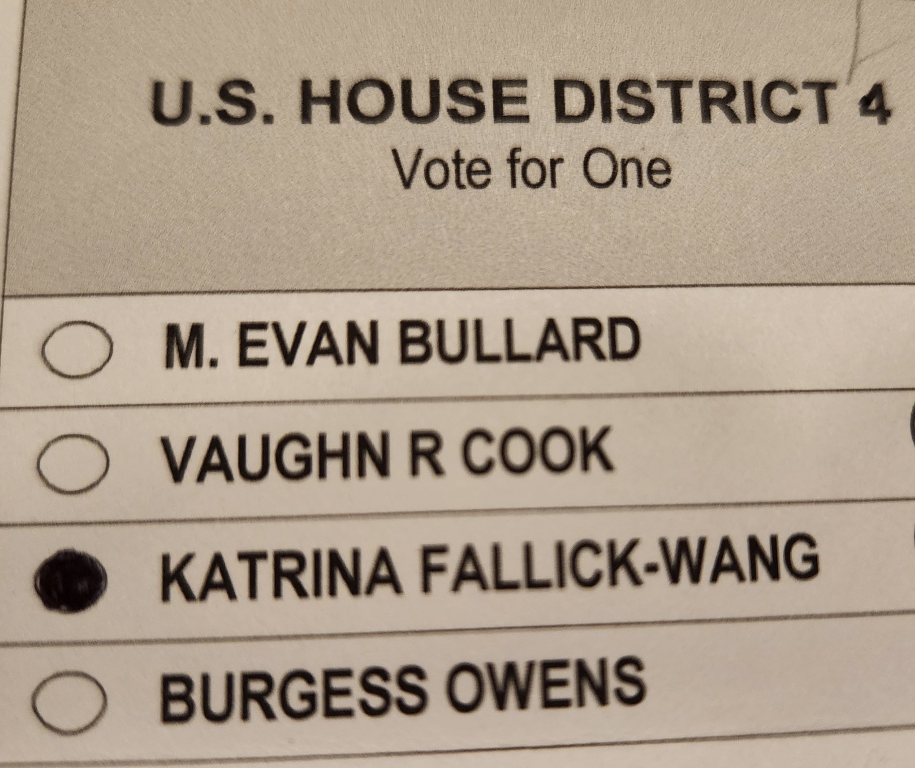 document - U.S. House District 4 Vote for One Om. Evan Bullard O Vaughn R Cook Katrina FallickWang Oburgess Owens