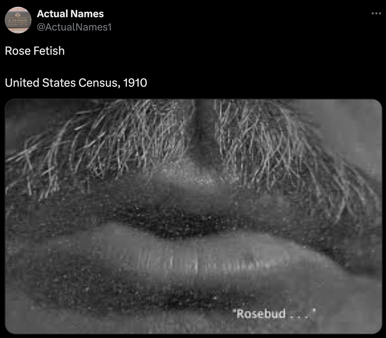 monochrome - 1336 Corporal A Deadman &Fited Company 621947 Age 60 Actual Names Rose Fetish United States Census, 1910 Rosebud