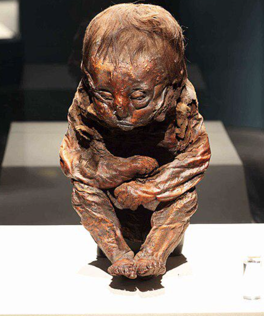 Detmold child is the name of a mummy found in Peru. The mummy has been identified to be about 6,500 years old, making it one of the oldest preserved mummies ever found.