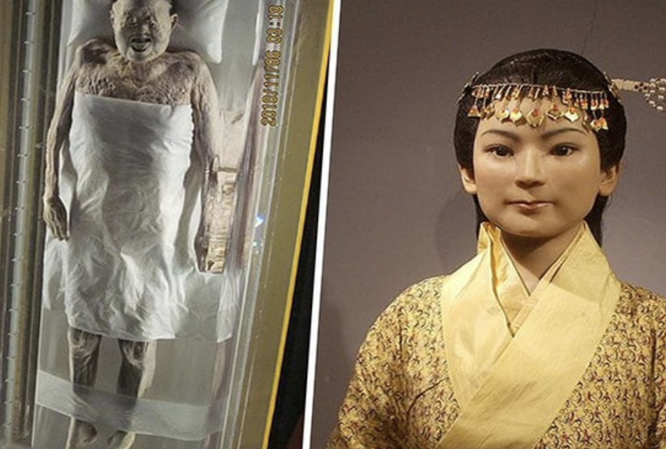 The 2,000 year old body of Xin Zhui, (213 BC - 163 BC), which is considered the best preserved mummy ever discovered. Her skin is soft, her arms and legs can still bend. Her internal organs are intact while also having hair, eyebrows and lashes, and Type-A blood in her veins.⁣