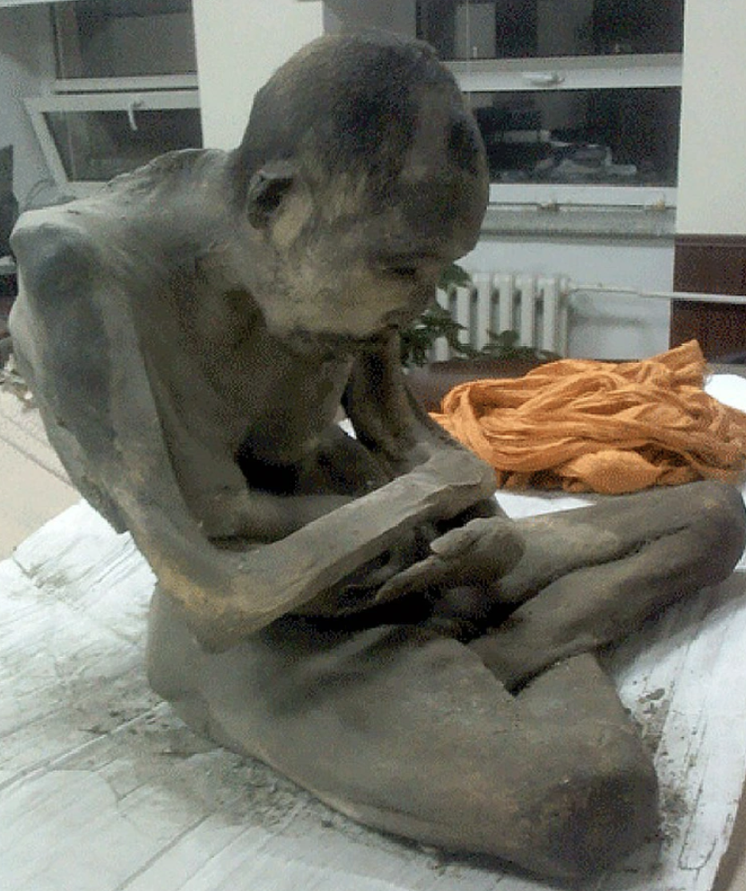 The mummified 200-year-old remains of Buddhist monk.