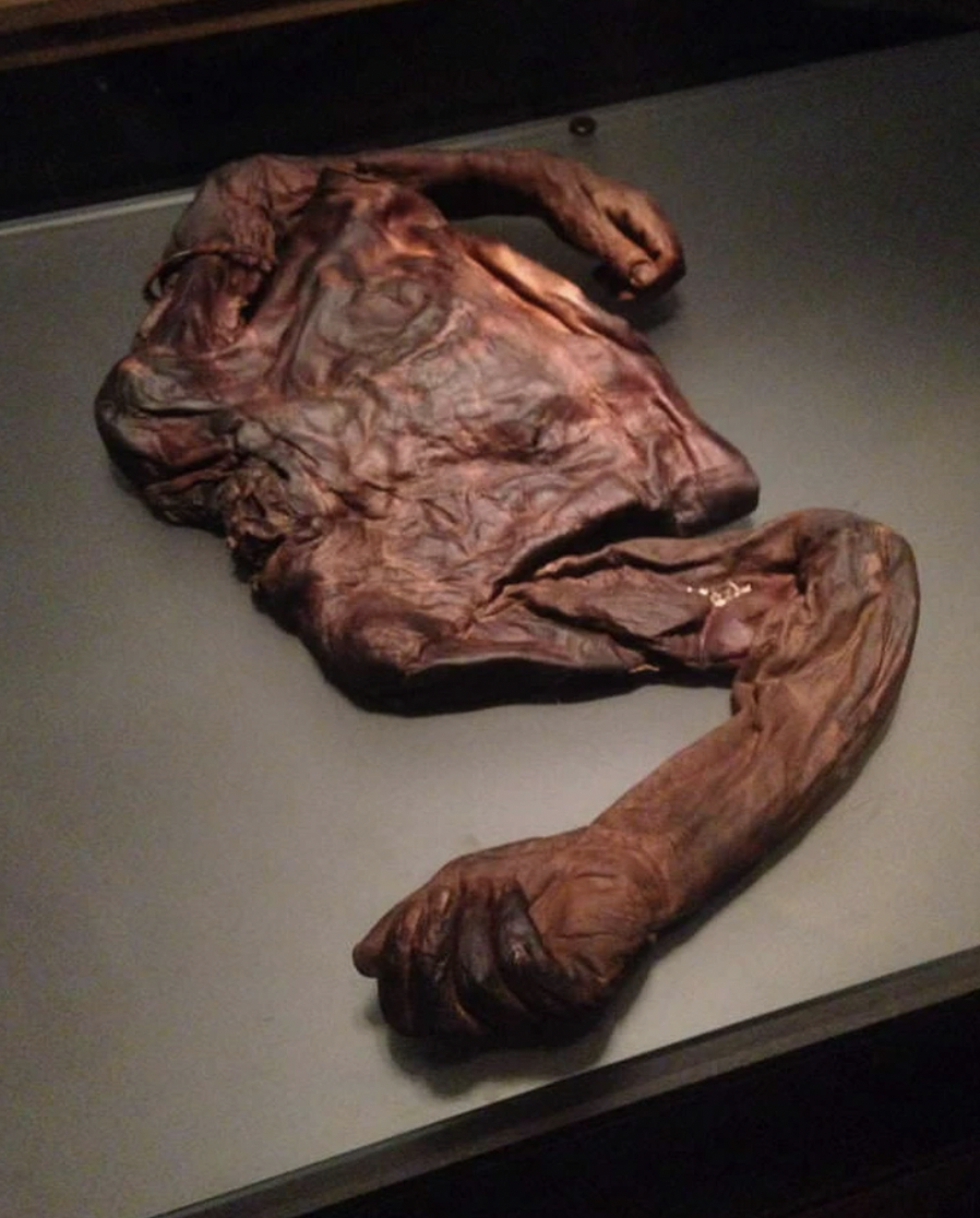 The "Old Croghan Man," a preserved torso of a man found in an Irish bog from 2,000+ years ago.