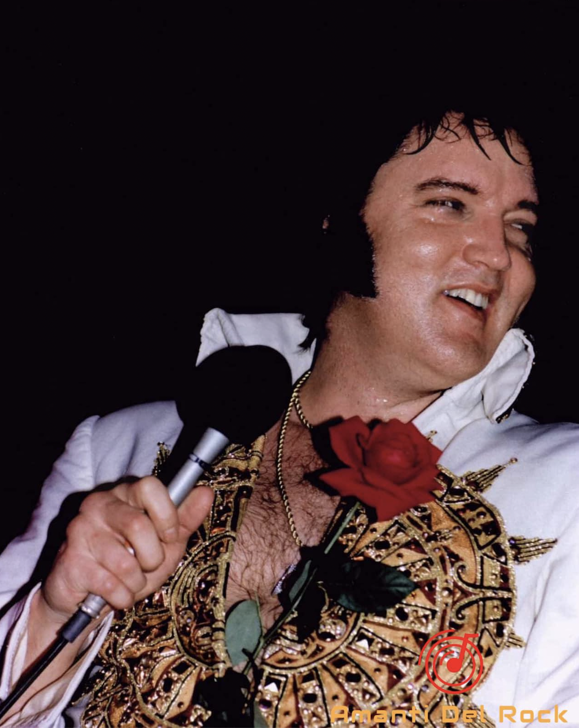 elvis presley 1977