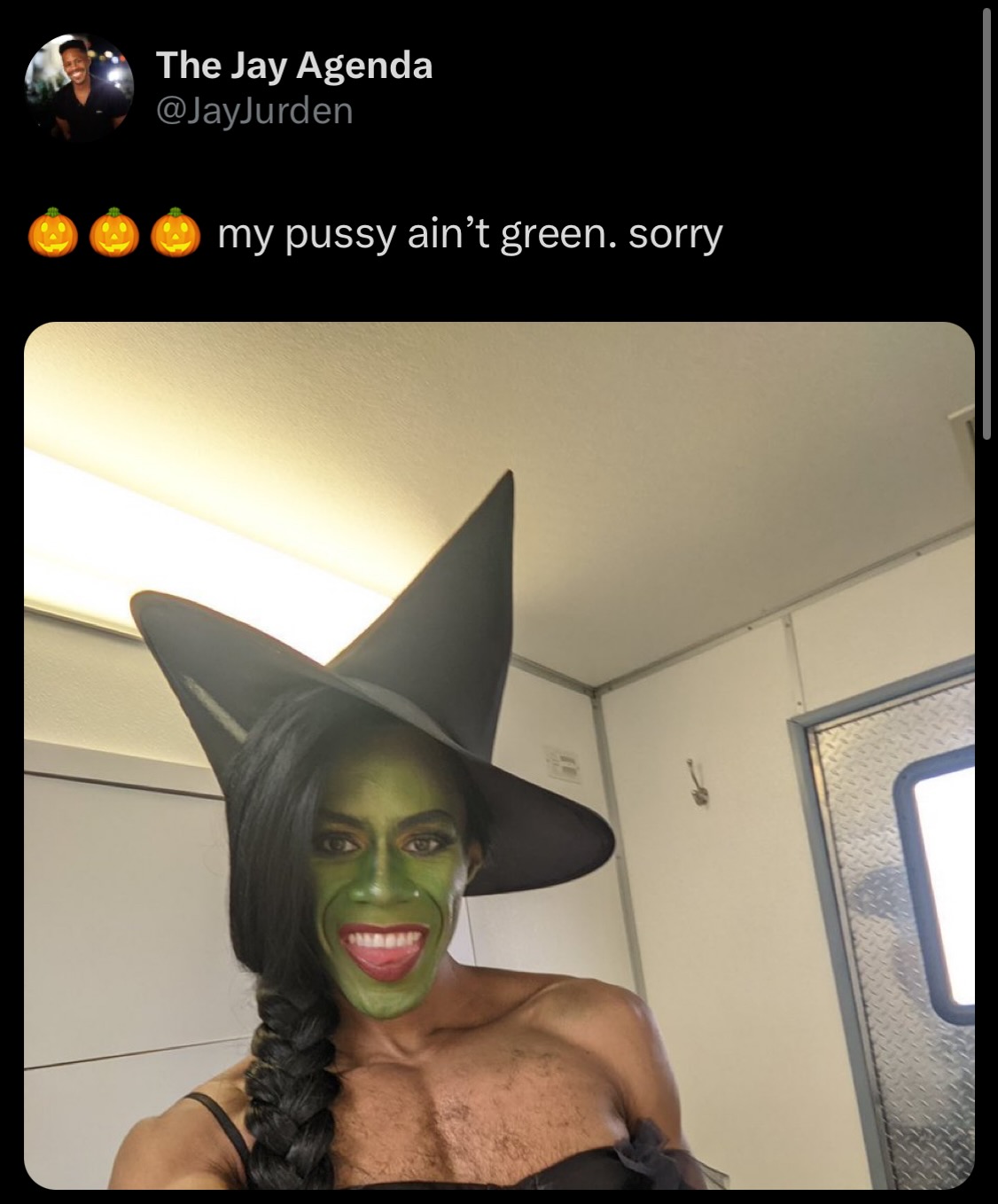 halloween costume - The Jay Agenda my pussy ain't green. sorry