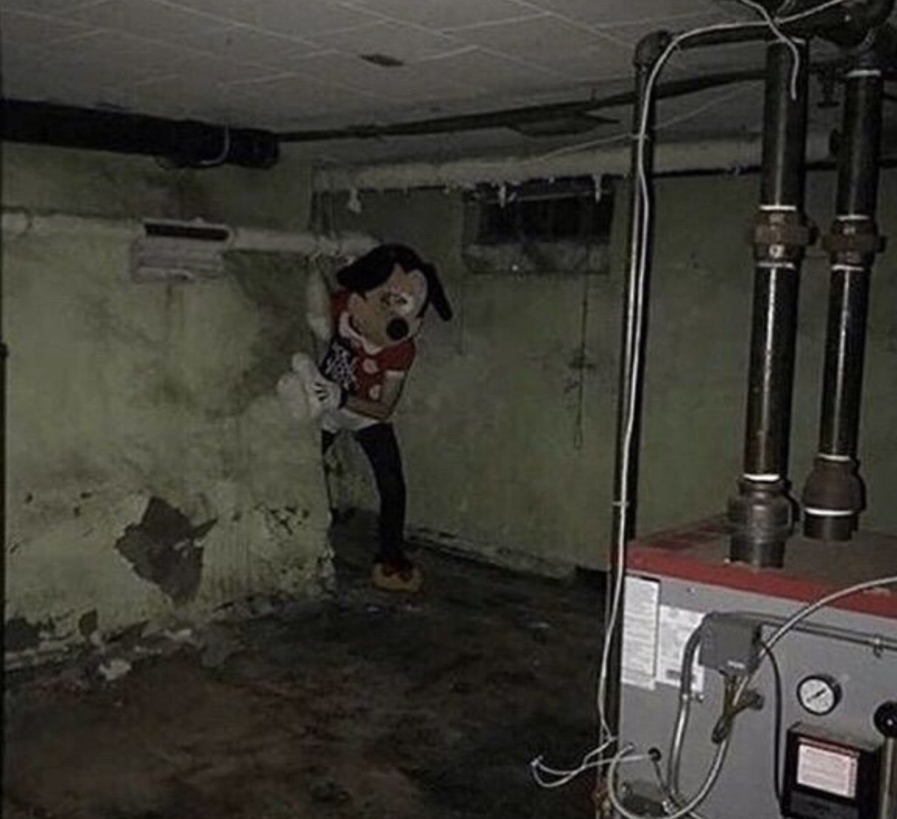 mickey mouse basement