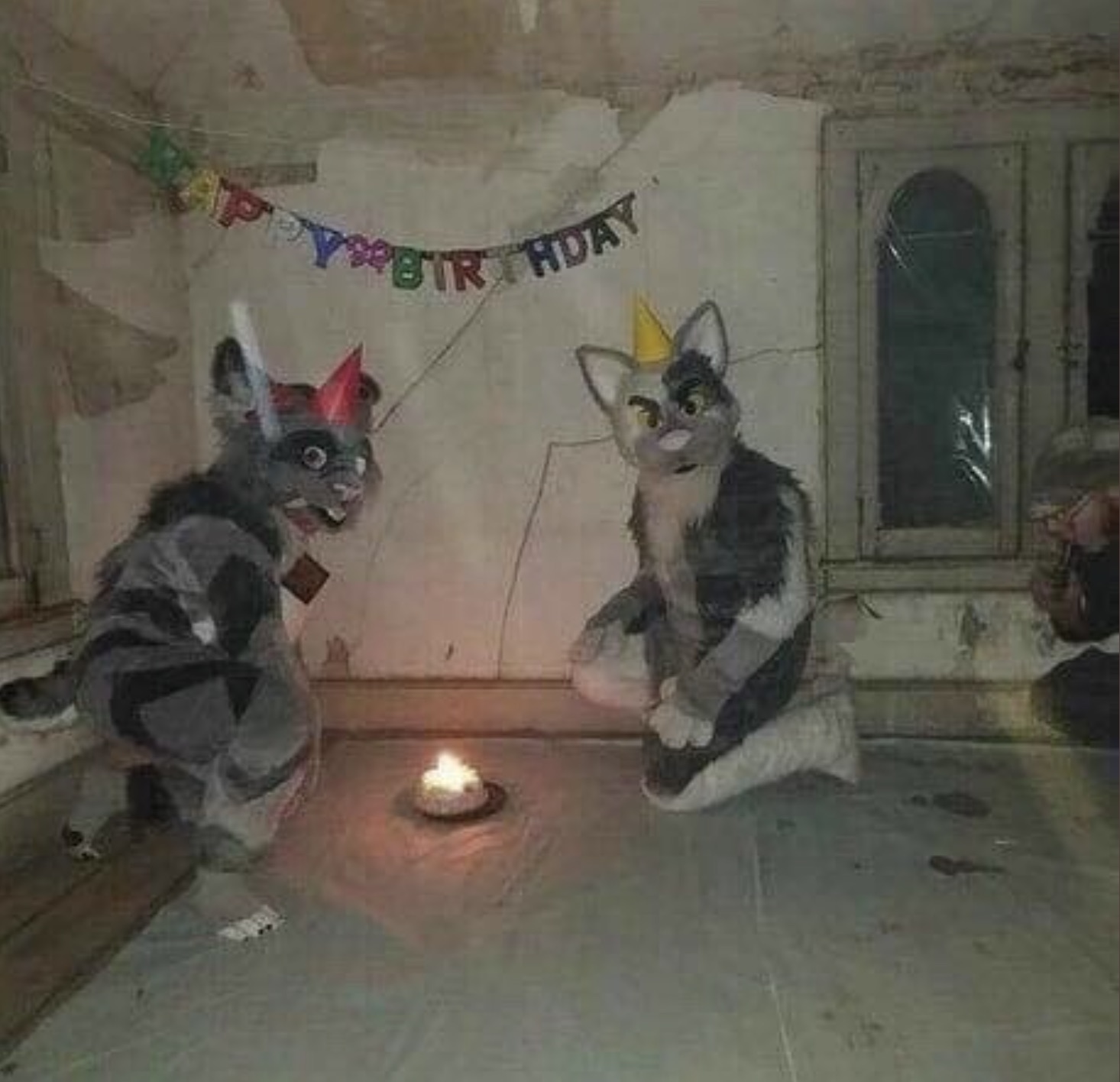 cursed fursuit - Ppy Birthday