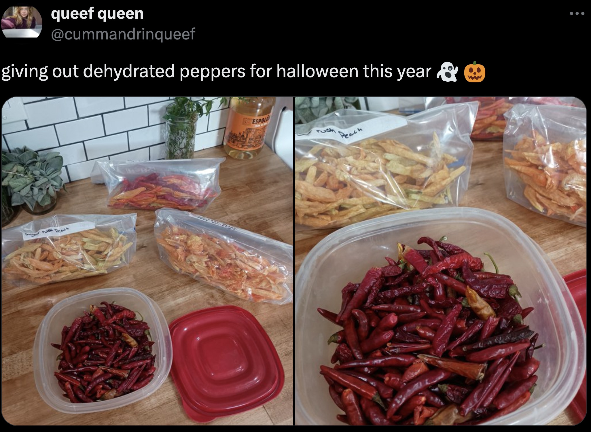 red cabbage - queef queen giving out dehydrated peppers for halloween this year &