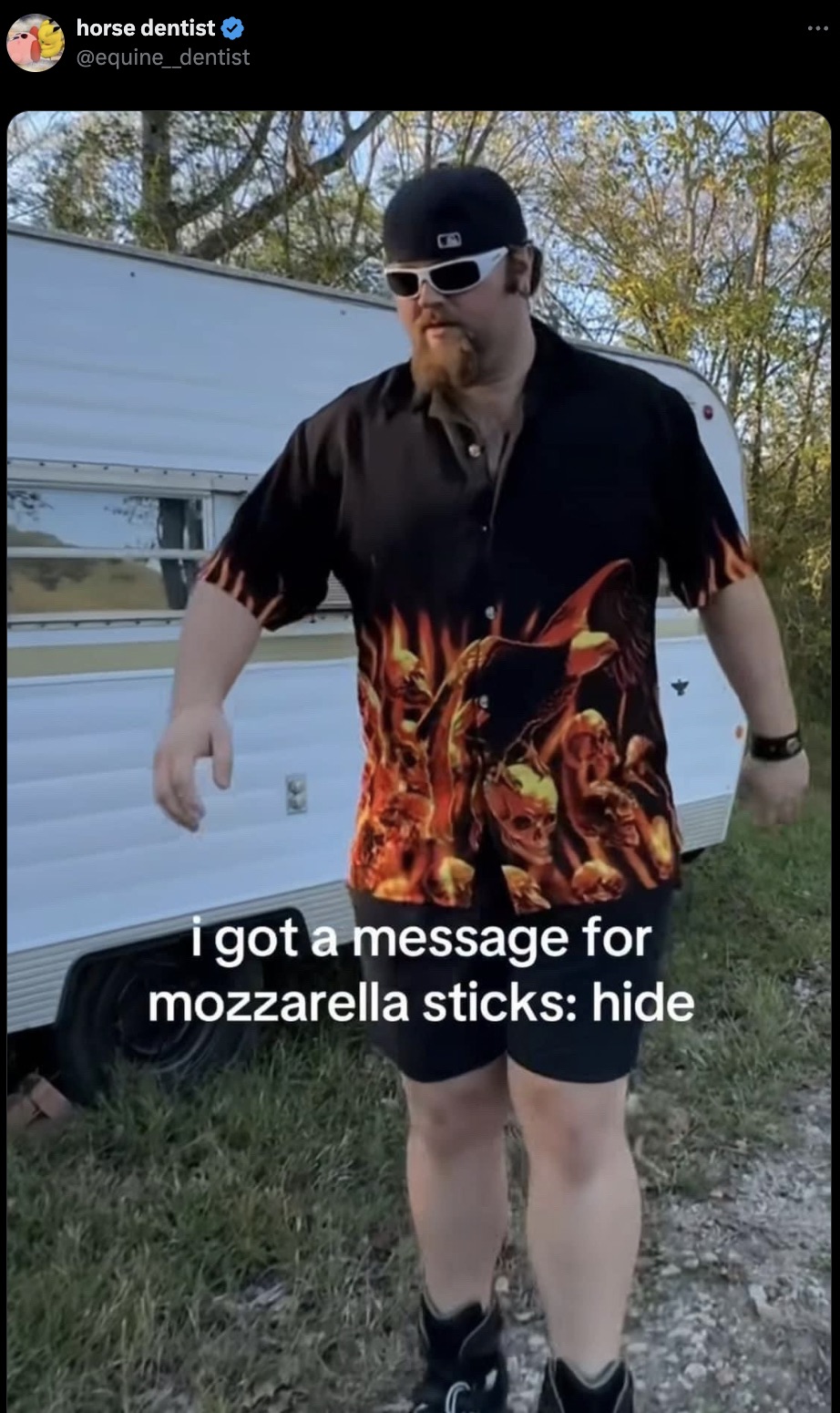 screenshot - horse dentist i got a message for mozzarella sticks hide