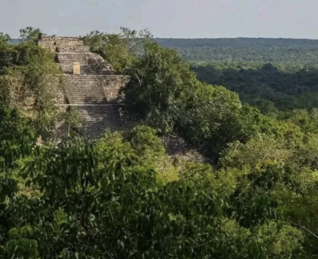 Zona Arqueológica de Calakmul