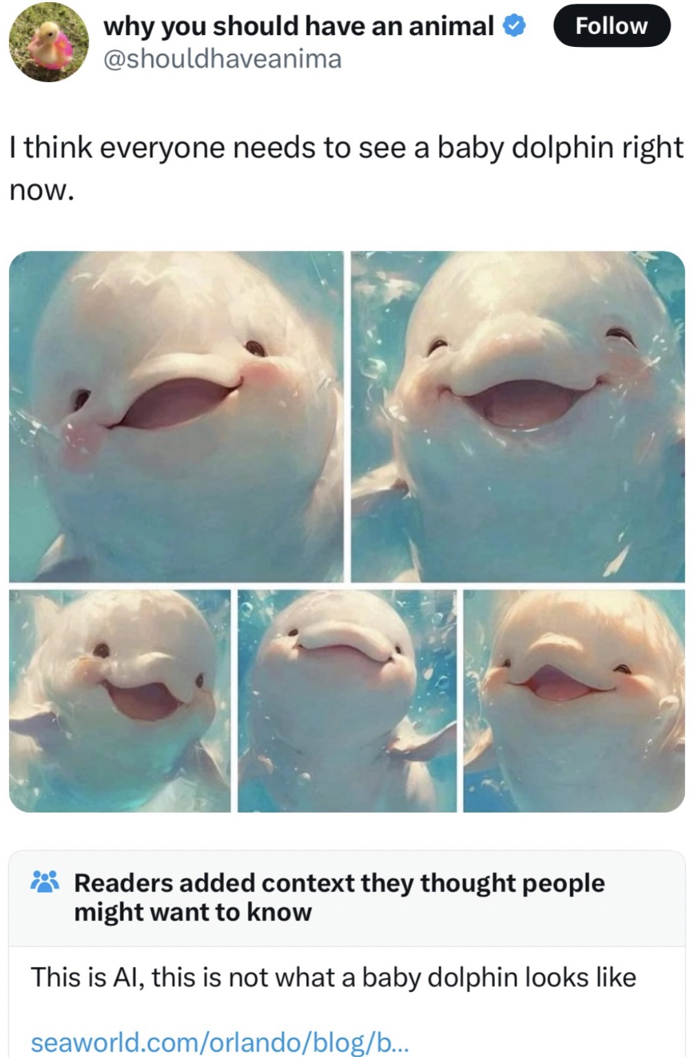 happy baby dolphin - why you should have an animal I think everyone needs to see a baby dolphin right now. Readers added context they thought people might want to know This is Al, this is not what a baby dolphin looks seaworld.comorlandoblogb...