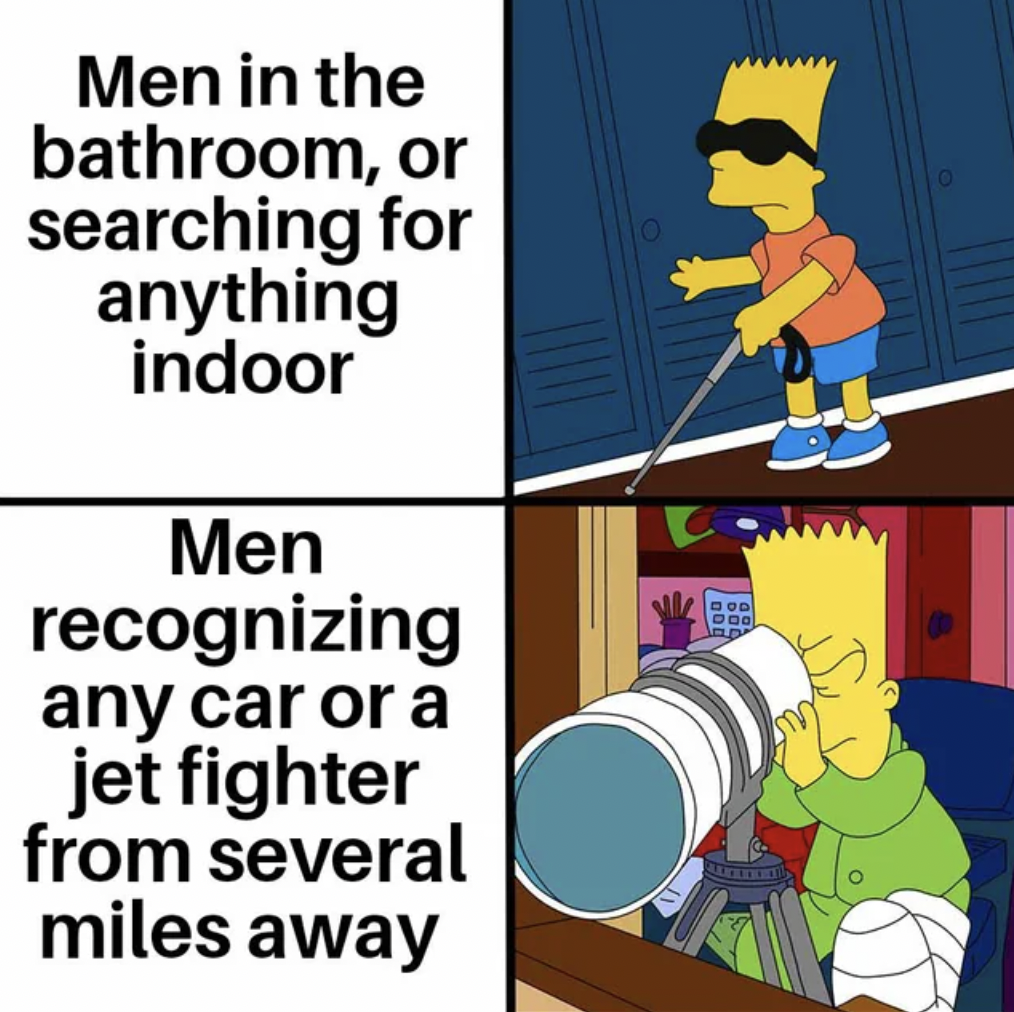 blind bart - Men in the bathroom, or searching for anything indoor Men recognizing any car or a jet fighter from several miles away