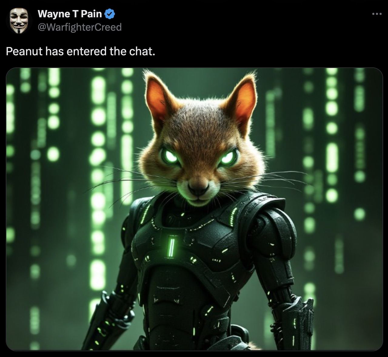 rocket raccoon - Wayne T Pain Peanut has entered the chat.