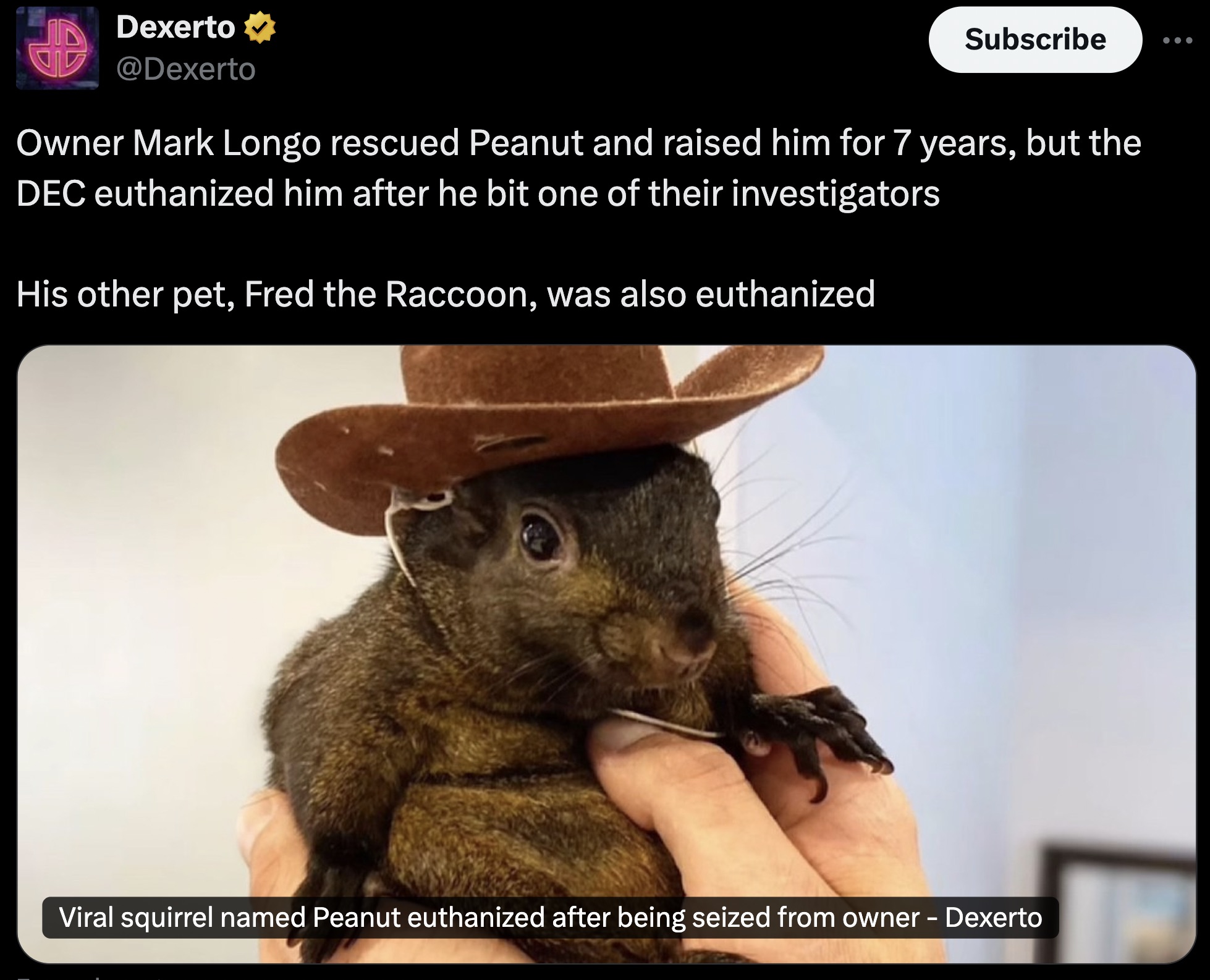 Squirrel - Dexerto Subscribe Owner Mark Longo rescued Peanut and raised him for 7 years, but the Dec euthanized him after he bit one of their investigators His other pet, Fred the Raccoon, was also euthanized Viral squirrel named Peanut euthanized after b