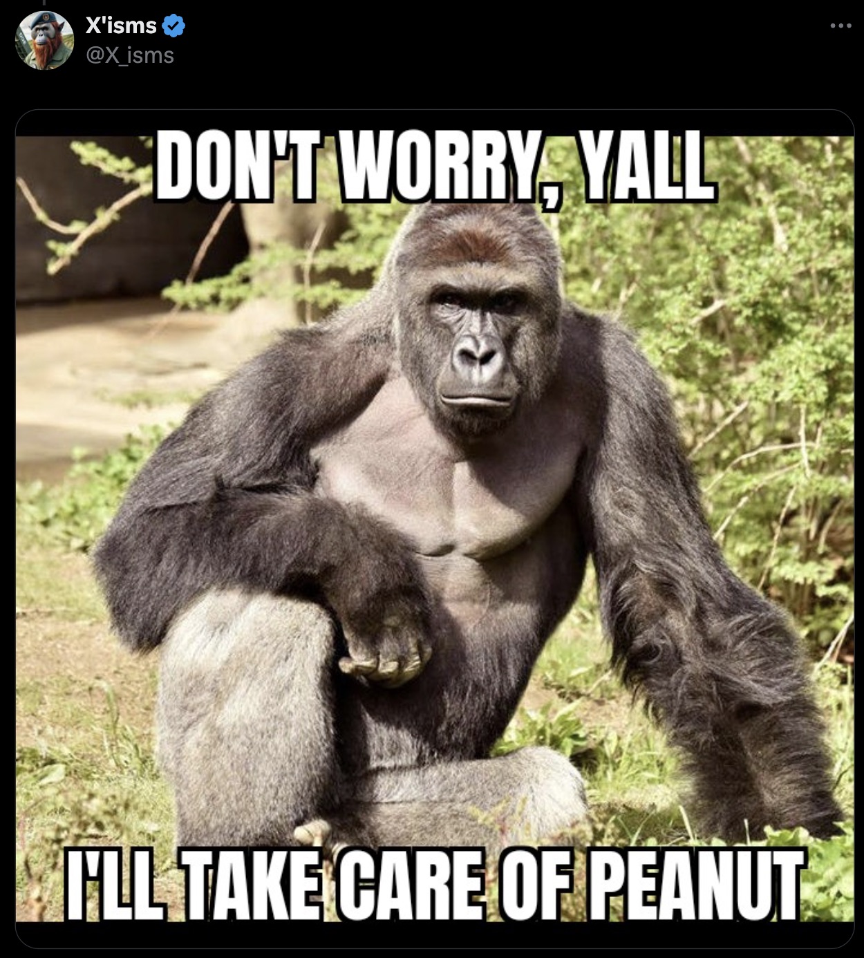 jane goodall gorillas - X'isms Don'T Worry Yall I'Ll Take Care Of Peanut