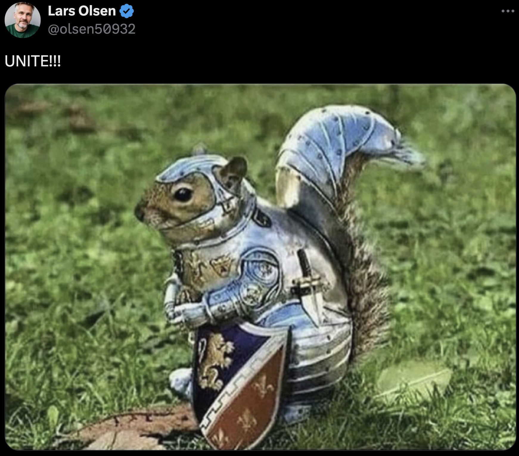 dnd squirrel meme - Lars Olsen Unite!!!