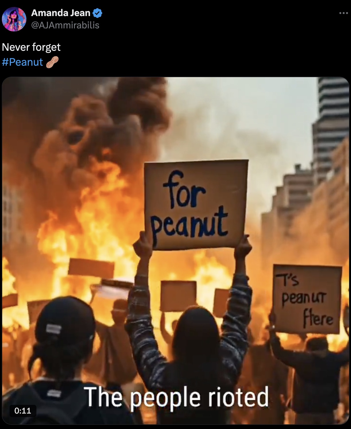 protest - Amanda Jean Never forget for peanut I's Peanut Flere The people rioted