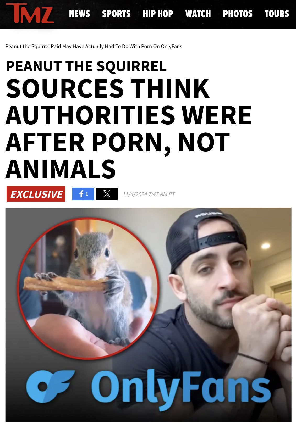 hamster - Tmz News Sports Hip Hop Watch Photos Tours Peanut the Squirrel Raid May Have Actually Had To Do With Porn On OnlyFans Peanut The Squirrel Sources Think Authorities Were After Porn, Not Animals Exclusive f 1 X 1142024 Pt OnlyFans