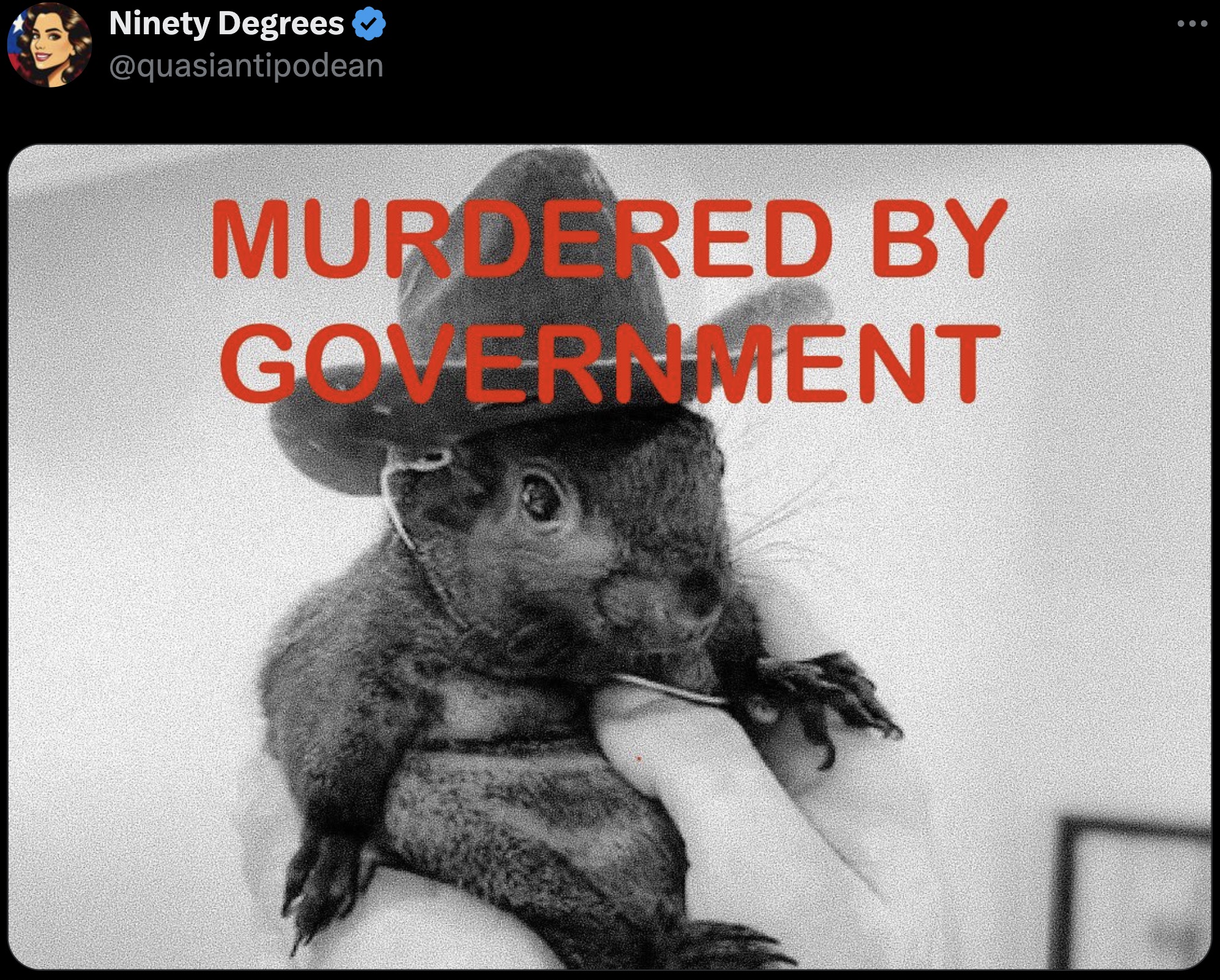 Squirrel - Ninety Degrees B Murdered By Government