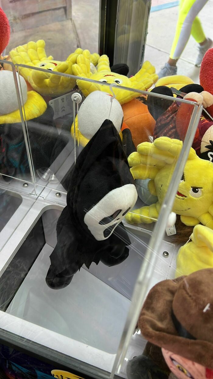 The person won a prize with the claw machine only to have it get stuck on the way out, by the tag / hook getting caught.