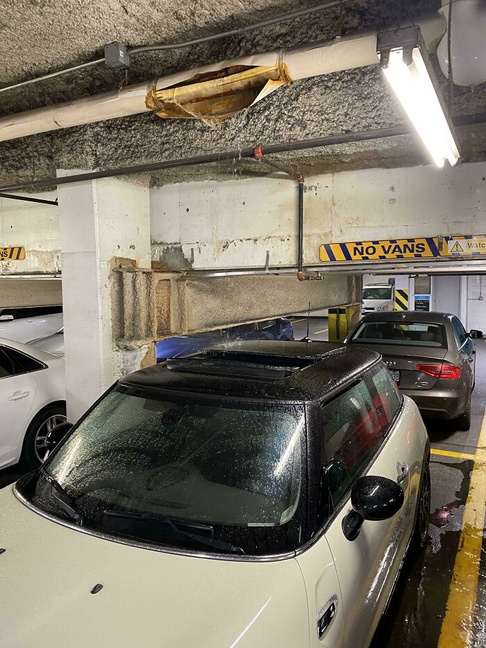 What are the odds of parking and leaving your sunroof open and having a pipe directly overhead burst?