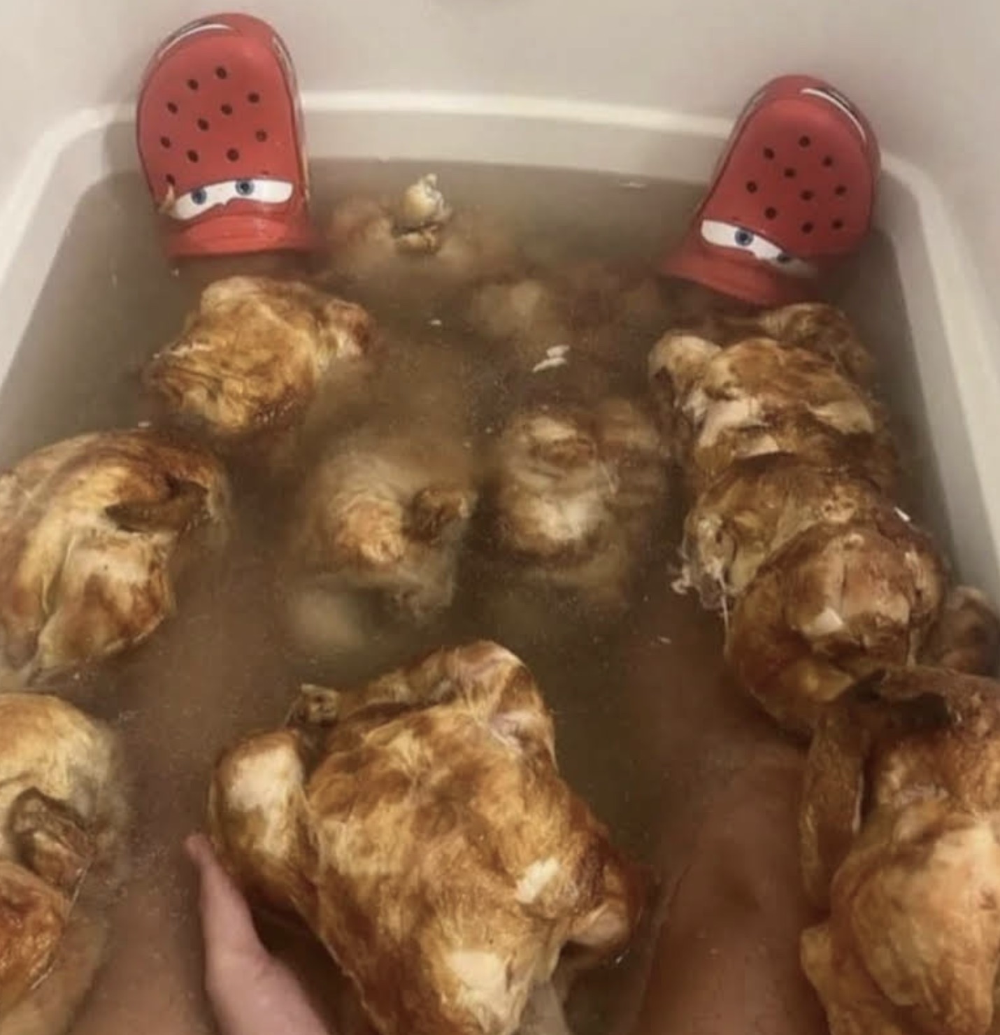 food bath