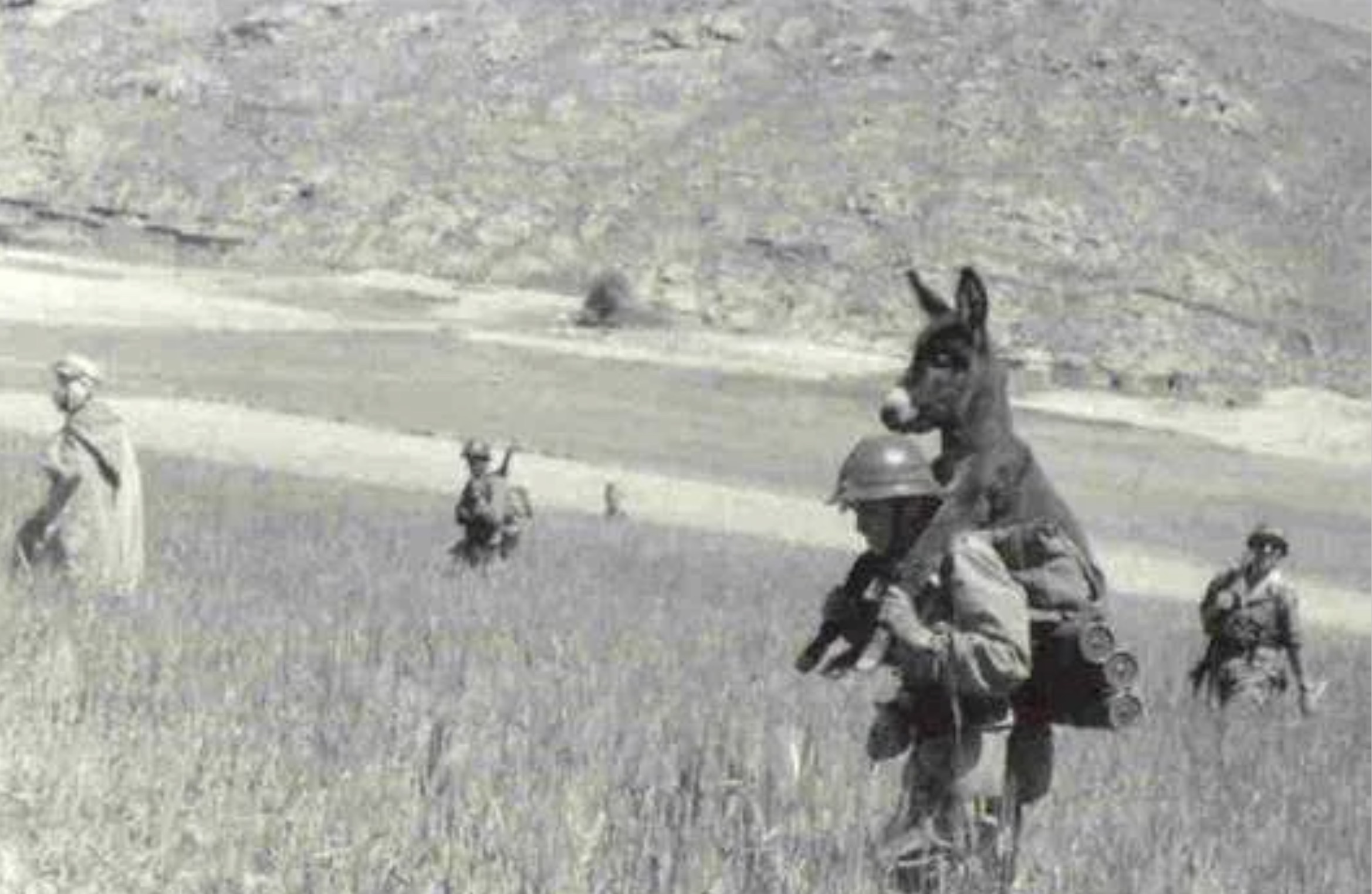 ww2 donkey